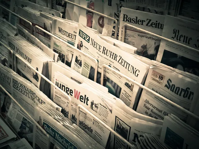 news, daily newspaper, press, newspapers, information, read, newspaper, newsprint