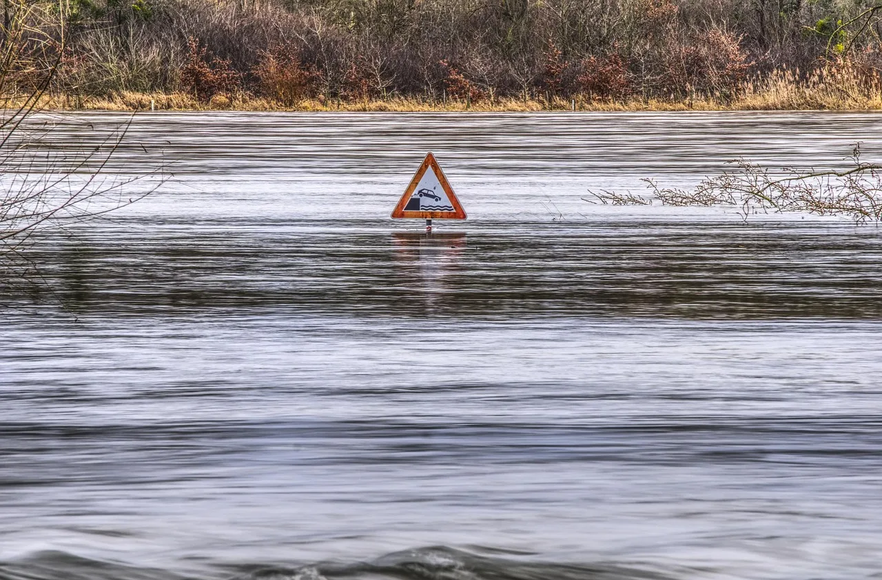 flood, flow, flooding, flooded, danger, attention, underwater, warning, waters, nature, lake, reflection, water, break, converted, wet, rhine, scenic, hdr, high dynamic range, climate protection, flood, flood, flood, flood, flood, flooding, flooding. Case study: a fictional flash flood warning