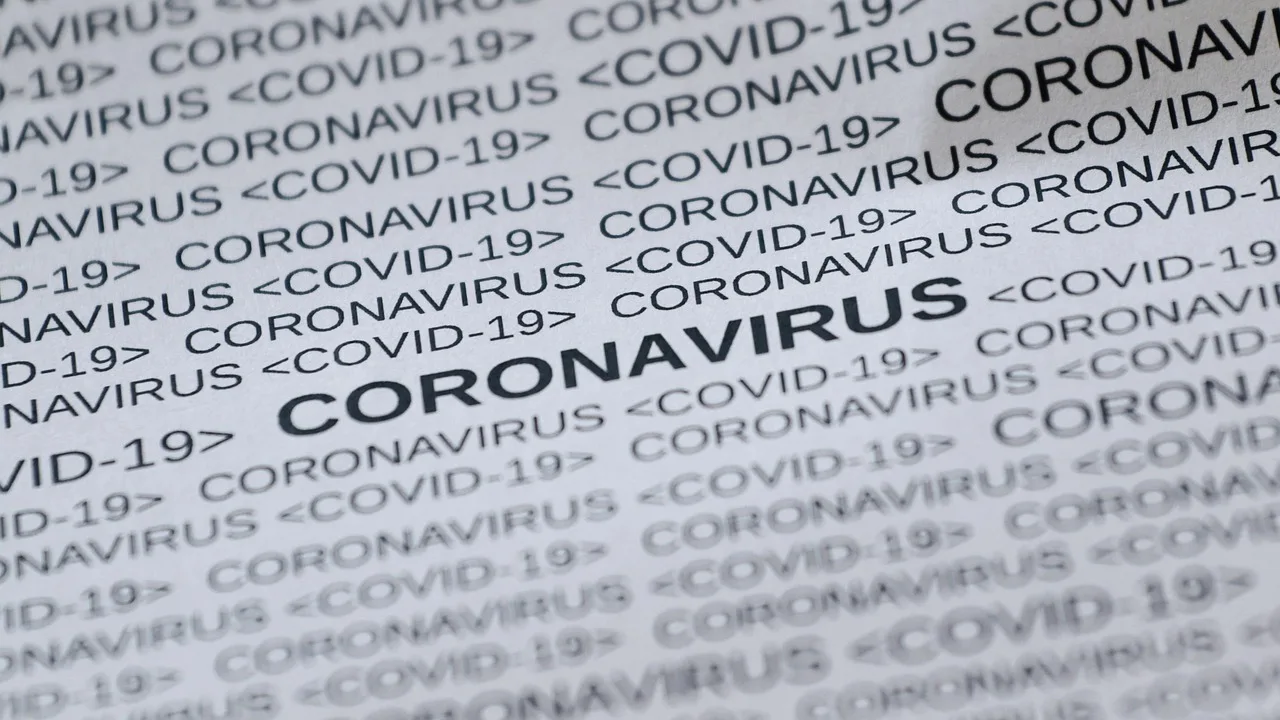feline corona virus, covid19, corona, virus, covid-19, quarantine, infection, mask, disease, pandemic, the epidemic, health, protection, hygiene, the sars-cov-2, outbreak, medical, transmission, biology, the flu, toilet paper, nurse, health care, nurse, nurse, nurse, nurse, nurse. Health alert reporting checklist for the second editor