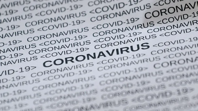 feline corona virus, covid19, corona, virus, covid-19, quarantine, infection, mask, disease, pandemic, the epidemic, health, protection, hygiene, the sars-cov-2, outbreak, medical, transmission, biology, the flu, toilet paper, nurse, health care, nurse, nurse, nurse, nurse, nurse. Health alert reporting checklist for the second editor