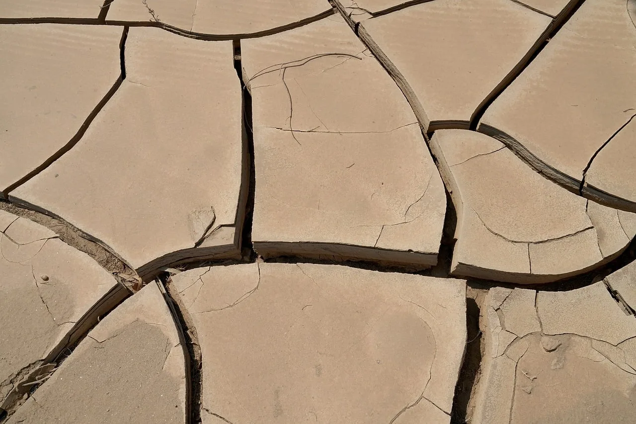 heat, dryness, cracks, earth, drought, floor, environment, texture, surface. How Phoenix and Los Angeles handle heat and water advisories