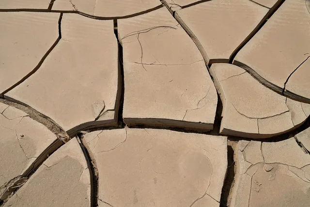 heat, dryness, cracks, earth, drought, floor, environment, texture, surface. How Phoenix and Los Angeles handle heat and water advisories