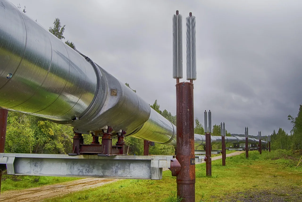 pipeline, alaska, engineering, oil, alaska pipeline, trans-alaska pipeline, crude oil pipeline, prudhoe bay to valdez, permafrost, energy, pipeline, pipeline, pipeline, pipeline, pipeline. Cross-border trade and climate stories that reach US readers